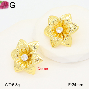 F2E402259vbnb-J22  Fashion Copper Earrings