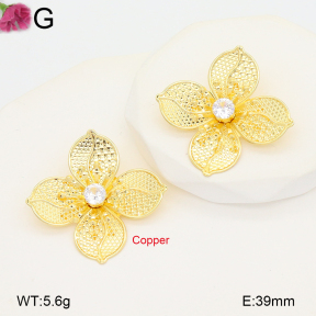 F2E402260vbnb-J22  Fashion Copper Earrings