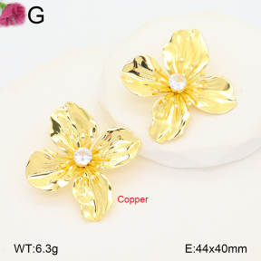 F2E402261vbnb-J22  Fashion Copper Earrings
