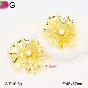 F2E402262vbnb-J22  Fashion Copper Earrings