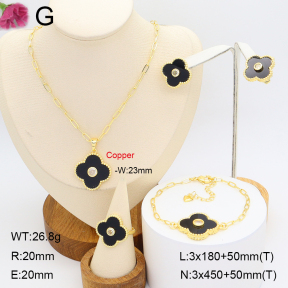 F2S006784ahpv-J22  Fashion Copper Sets