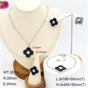 F2S006785ahpv-J22  Fashion Copper Sets