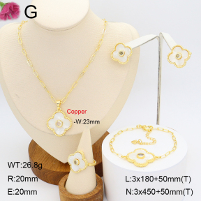 F2S006786ahpv-J22  Fashion Copper Sets