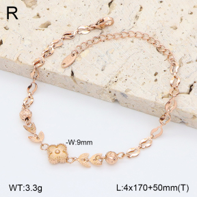 2B2005239bbov-747  Stainless Steel Bracelet