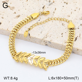2B2005248vbpb-747  Stainless Steel Bracelet
