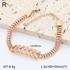 2B2005249vbpb-747  Stainless Steel Bracelet