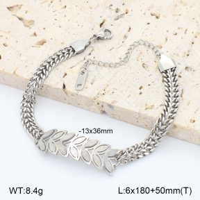 2B2005250bbov-747  Stainless Steel Bracelet