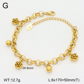 2B2005257vbpb-747  Stainless Steel Bracelet