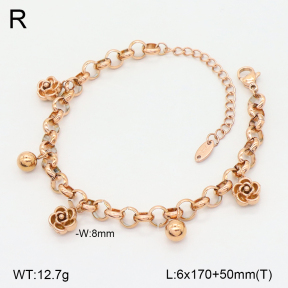 2B2005258vbpb-747  Stainless Steel Bracelet