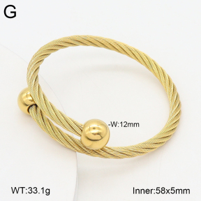 2BA202573vbnl-387  Stainless Steel Bangle