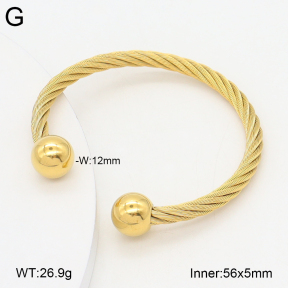 2BA202574vbnl-387  Stainless Steel Bangle