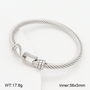 2BA202575vbmb-387  Stainless Steel Bangle