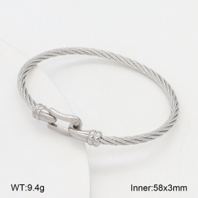 2BA202576ablb-387  Stainless Steel Bangle