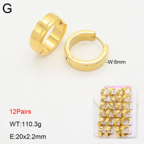 2E2006706bnib-387  Stainless Steel Earrings
