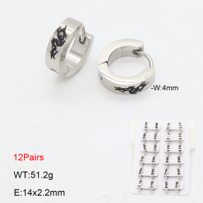 2E2006707akoa-387  Stainless Steel Earrings