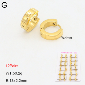 2E2006709alka-387  Stainless Steel Earrings