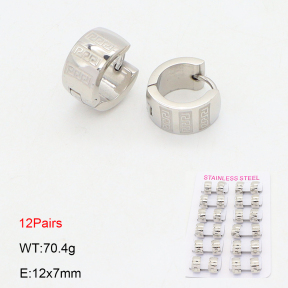 2E2006712akia-387  Stainless Steel Earrings