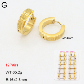 2E2006713amaa-387  Stainless Steel Earrings