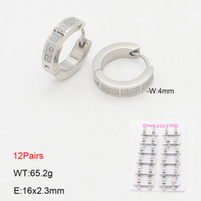 2E2006714akoa-387  Stainless Steel Earrings