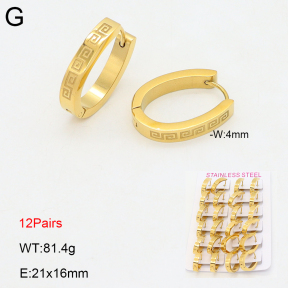 2E2006715amaa-387  Stainless Steel Earrings