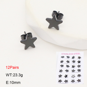 2E2006717ajma-387  Stainless Steel Earrings