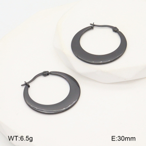 2E2006719vbll-387  Stainless Steel Earrings