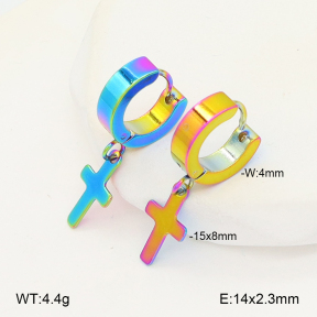2E2006741aajl-656  Stainless Steel Earrings