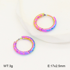 2E2006743aajl-656  Stainless Steel Earrings