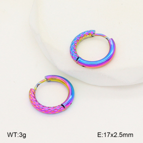 2E2006744aajl-656  Stainless Steel Earrings