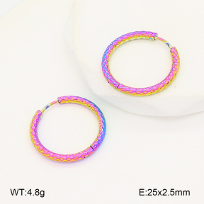 2E2006745aajl-656  Stainless Steel Earrings