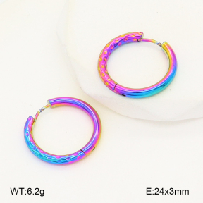 2E2006746aajl-656  Stainless Steel Earrings