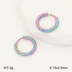 2E2006747aajl-656  Stainless Steel Earrings
