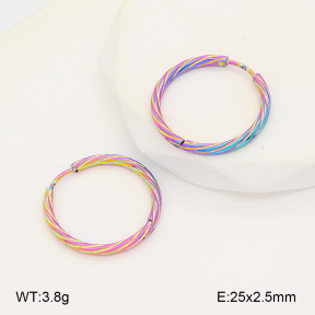 2E2006748aajl-656  Stainless Steel Earrings