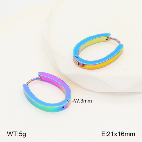 2E2006750aajl-656  Stainless Steel Earrings