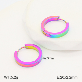 2E2006751aajl-656  Stainless Steel Earrings