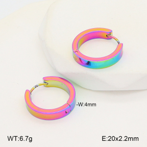 2E2006752aajl-656  Stainless Steel Earrings