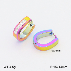 2E4004984baka-656  Stainless Steel Earrings