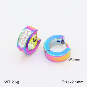 2E4004986baka-656  Stainless Steel Earrings