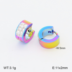2E4004987baka-656  Stainless Steel Earrings