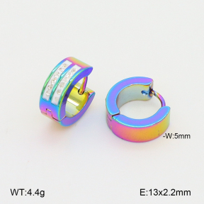 2E4004988baka-656  Stainless Steel Earrings