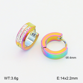 2E4004989baka-656  Stainless Steel Earrings