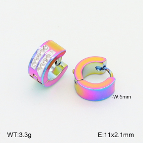 2E4004990baka-656  Stainless Steel Earrings
