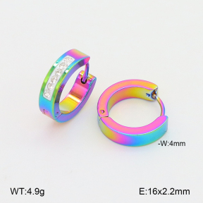 2E4004991baka-656  Stainless Steel Earrings