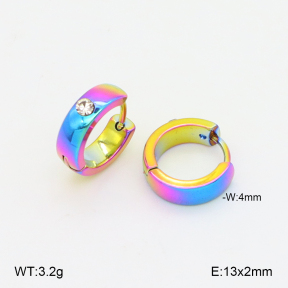 2E4004992aajo-656  Stainless Steel Earrings