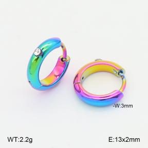 2E4004993aajo-656  Stainless Steel Earrings