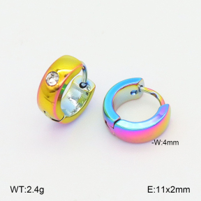 2E4004994aajo-656  Stainless Steel Earrings