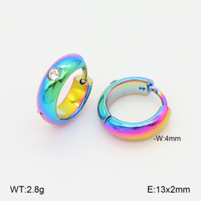 2E4004995aajo-656  Stainless Steel Earrings