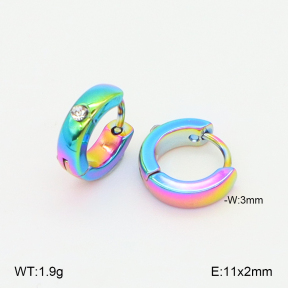 2E4004996aajo-656  Stainless Steel Earrings