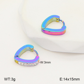2E4004998baka-656  Stainless Steel Earrings