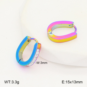 2E4004999baka-656  Stainless Steel Earrings